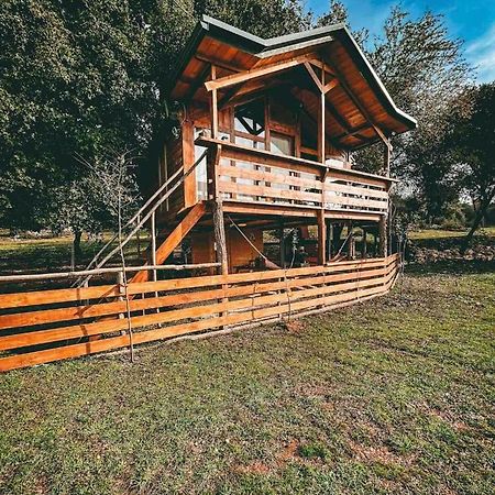 Ferienwohnung The Treehouse Of The Dragon Ioannina Exterior foto