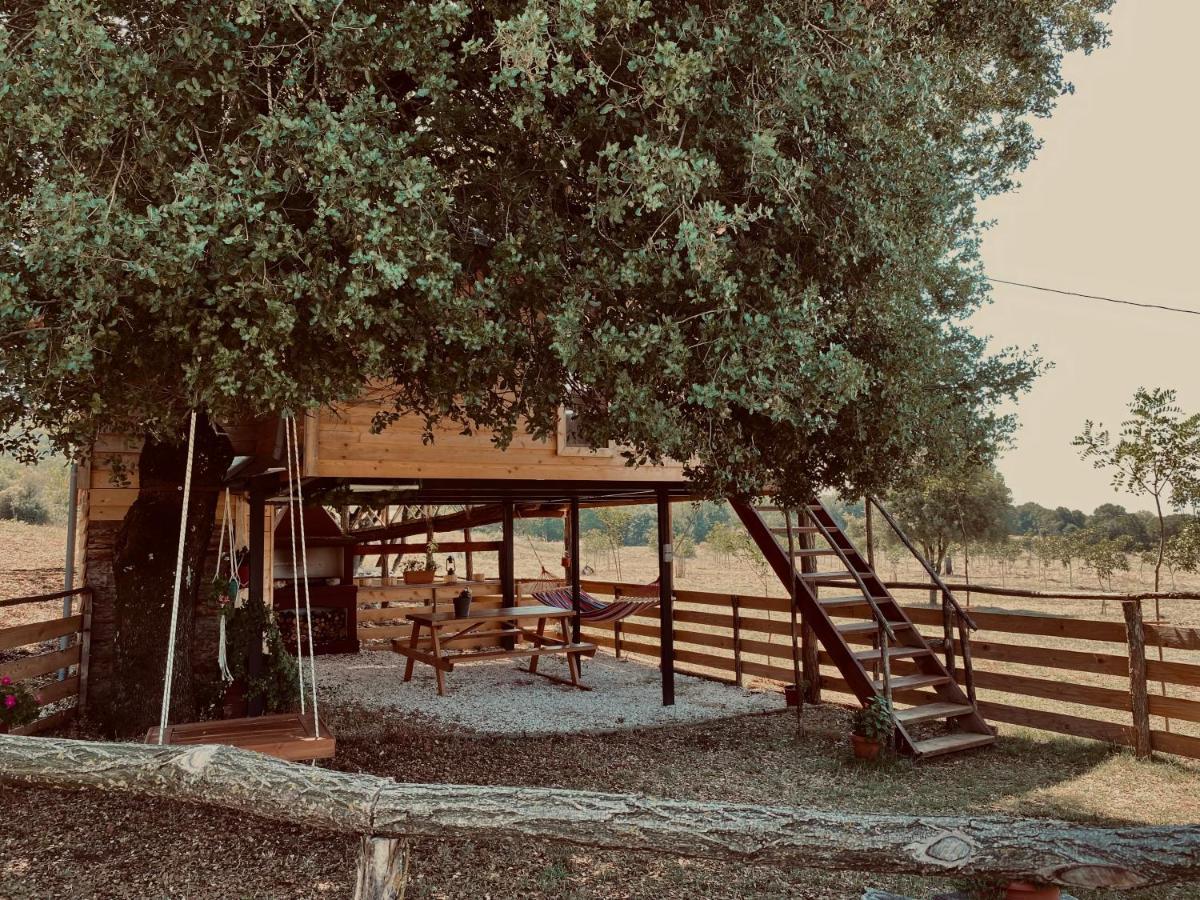 The Treevilla Ioannina Exterior foto